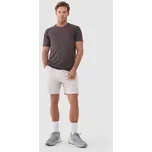 Pánské kraťasy 4F 4FWSS25TFSHM0867 CREME L