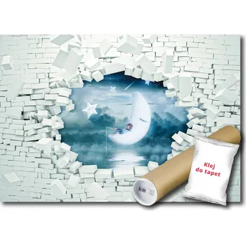 Fototapeta FOTOTAPETA DĚTSKÁ NA ZEĎ 3D FXL 208x146 F13743