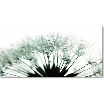 Obraz Kuchyňský panel Pampelišková semínka 100x50 cm + LEPIDLO