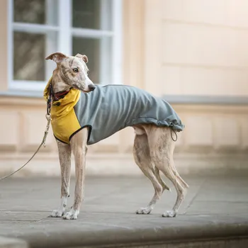 Moto oblečení Bunda Pierrot vícebarevná XXL