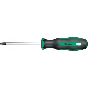 Šroubovák Fortis Šroubovák Torx T30 x 100 mm