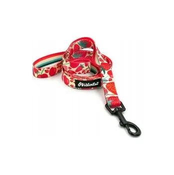 Vodítko pro psa Tradiční Vodítko Psiakrew , páskové, 160 m