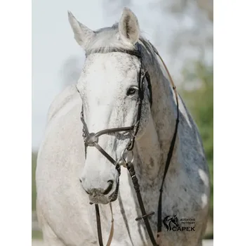 Uzdečka Riding World -MUSEROLLE CROISÉE- - Hnědá - Pony