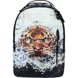 BAAGL eARTh A-31205 18 l