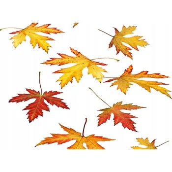 Obraz Kuchyňský panel Podzimní listí 140x70 cm + LEPIDLO