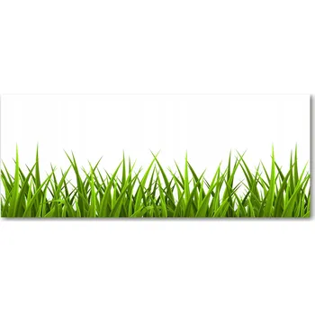 Obraz Panel z tvrzeného skla mezi skříňky Tráva XXL