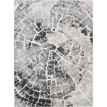 Koberec KOBEREC Troya 200x300 Silný MODERNÍ POLYESTER V64