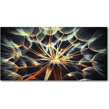 Obraz Kuchyňský panel mezi skříňky Poupata pampelišek 120x60 + LEPIDLO