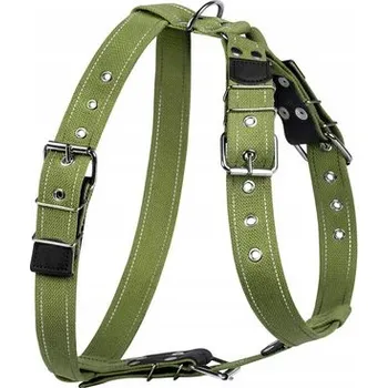 Postroj pro psa COLLAR - Postroj z bavlněného popruhu (šířka 35 mm, A 68-91 cm, B 78-80 cm) Plachtovina