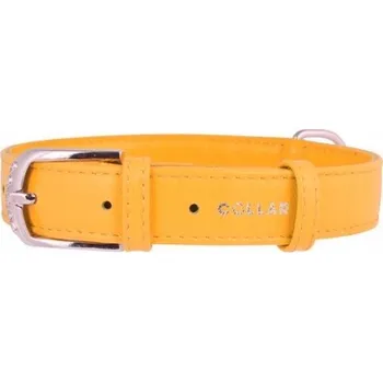 Obojek pro psa Kožený obojek pro psa WAUDOG COLLAR vel. XS