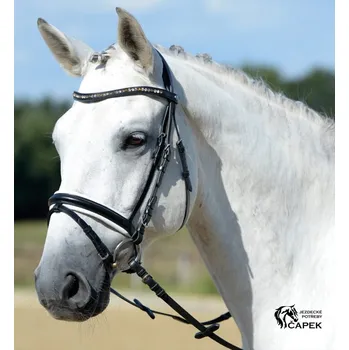 Uzdečka Busse -COMFORT- - Černá - Cob