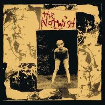 Zahraniční hudba CD The Notwist: The Notwist 2022 30 Years Special Edition