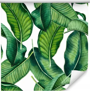 Fototapeta Tapeta do kanceláře akvarelové BANÁNOVÉ LISTY příroda