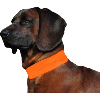 Obojek pro psa VÝSTRAŽNÁ PÁSKA PRO PSY, OBOJKY OBROŻA