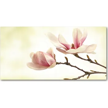 Obraz Kuchyňský panel mezi skříňky Magnolie 140x70 cm + LEPIDLO