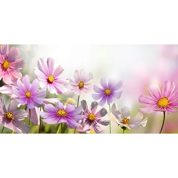 Obraz Kuchyňský panel Květiny na louce 100x50 cm + LEPIDLO