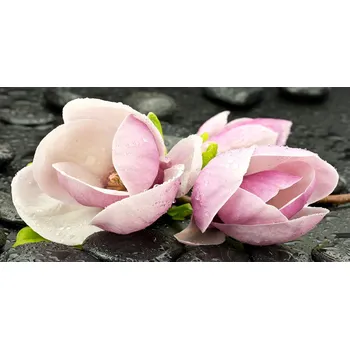 Obraz Panel lacobel Magnolie kámen zen 100x50 cm + LEPIDLO