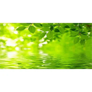 Obraz Kuchyňský panel Zelené listy 100x50 cm + LEPIDLO