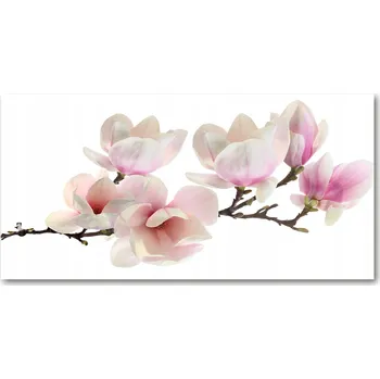 Obraz Kuchyňský panel mezi skříňky Magnolie 140x70 cm + LEPIDLO