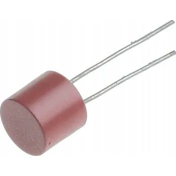 Autopojistky Pojistka do kelímku 2A 250V (2 ks)