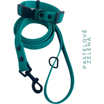 Obojek pro psa PUPPY SET - pastelově zelená