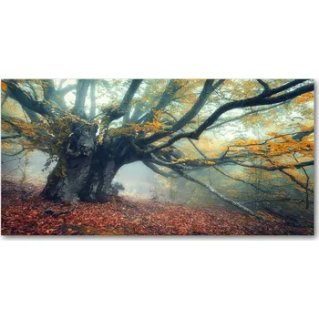 Obraz Ochranný panel Starý strom 100x50 cm + LEPIDLO