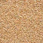 Pšenice ŠPALDA BIO 1kg