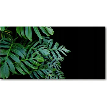 Obraz Kuchyňský panel mezi skříňky Monstera 100x50 + LEPIDLO