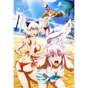 Obraz Plakát anime 29,7 x 42,9 cm