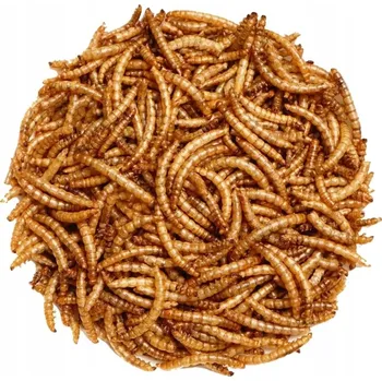 Krmivo pro hlodavce Krmivo krmiva Den Drobena 2 kg křeček , osmák degu , králíky, myši, pískomily, krysy, činčily, morče , veverky