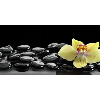 Obraz Kuchyňský panel mezi skříňky Orchidej 100x50 cm + LEPIDLO