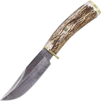 lovecký nůž Pevný Nůž Muela BRACO-11DAM