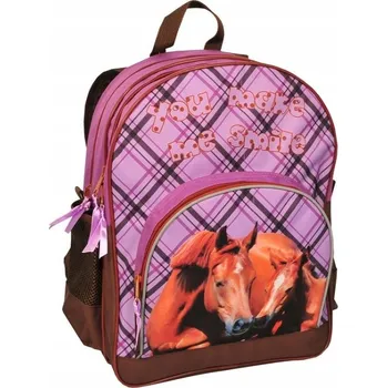 Školní batoh Školní batoh s více komorami Paso, odstíny hnědé a béžové, růžová, vícebarevný