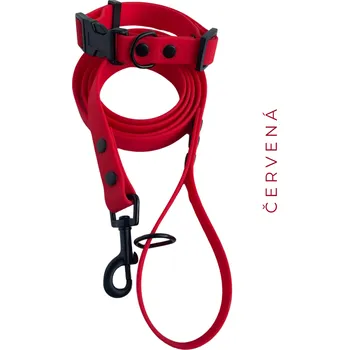 Obojek pro psa PUPPY SET - červená