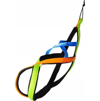 Postroj pro psa Postroj pro psa typu SLED pro běhání PREMIUM, robustní a pohodlný Dingo, velikost L