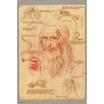 Plakát s humorem bez rámu 61 x 91,5 cm