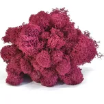 Canopy  FIALOVÝ 100 g