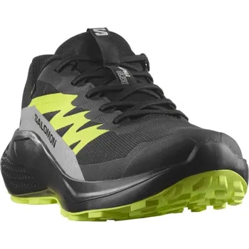 Pánská běžecká obuv Salomon Alphaglide GTX M L47802000 - black/alloy sharp green 45 1/3