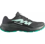 Salomon Alphaglide GTX trailové běžecké boty - 0 - šedá - 40