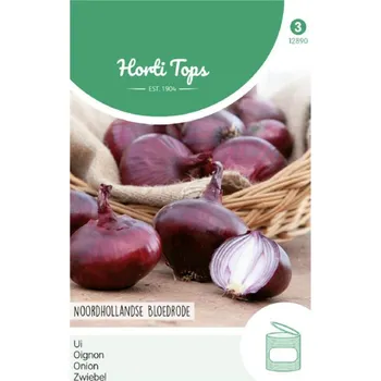 Sazenice Semena - CIBULE ´NORTH HOLLAND BLOOD RED´