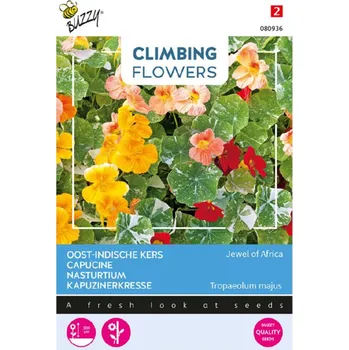 Příroda Semena - KAPUCÍNKA TAHAVÁ ´JEWEL OF AFRIKA´