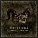 Curious Ruminant - Jethro Tull