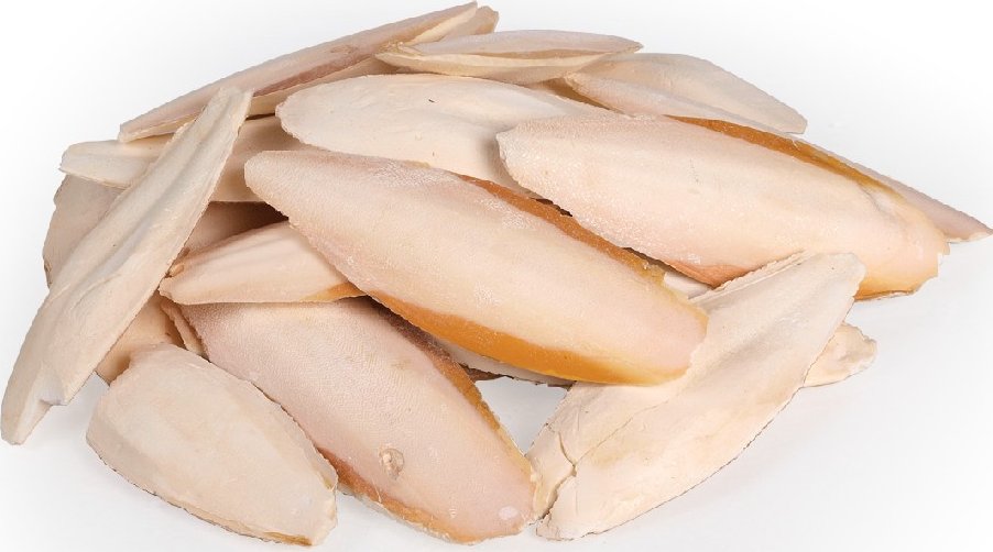 Sépiová kost 15-20 cm Varianta: 1kg