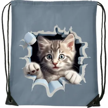 Školní batoh VAK na ZÁDA školní batoh sportovní na tělocvik, boty, trénink, s otvorem, kočka s koťátkem WB_120