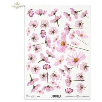 Umělecký papír Rýžový papír A4- R0063