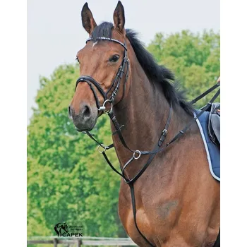 Martingal Martingal Busse -BASIC- - Černá - Pony