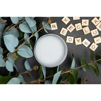 Speciální výtvarná barva Dixie Belle křídová minerální barva - Manatee Gray - 237 ml