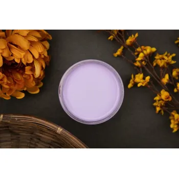 Speciální výtvarná barva Dixie Belle křídová minerální barva - Lucky Lavender - 473 ml
