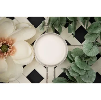 Vodová barva Dixie Belle křídová minerální barva - Drop Cloth - 473 ml