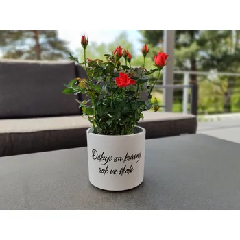 Květináč Květináč s nápisem pro paní učitelku vzor 5 - D-decor